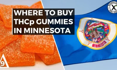 Gummies Minnesota